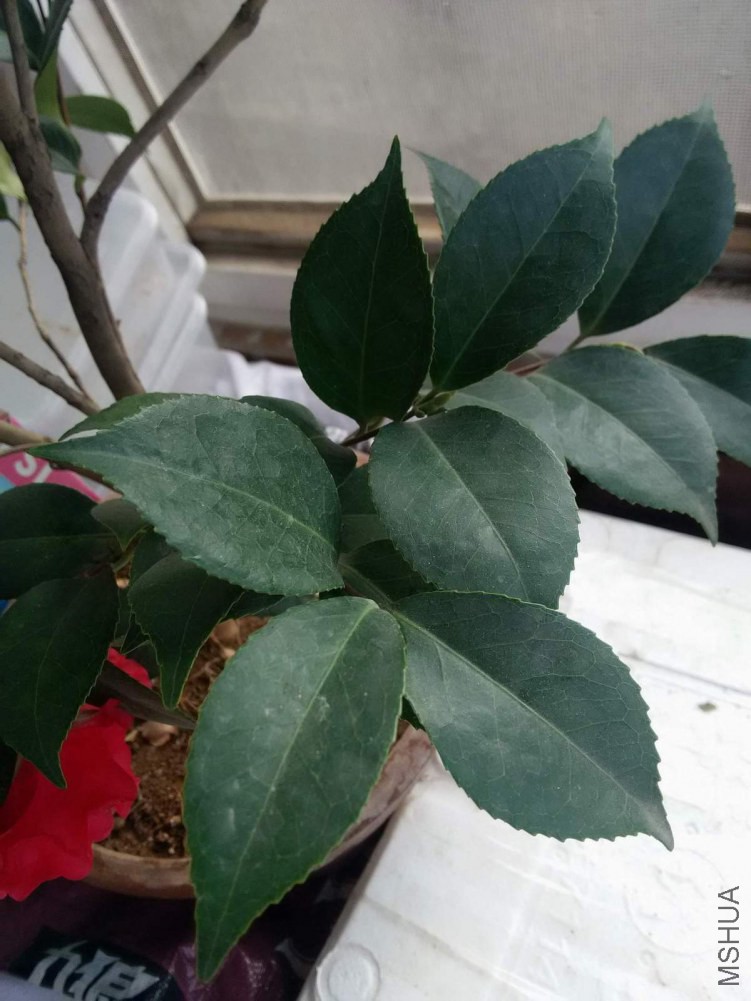 ���� IMG_20150117_092832.jpg