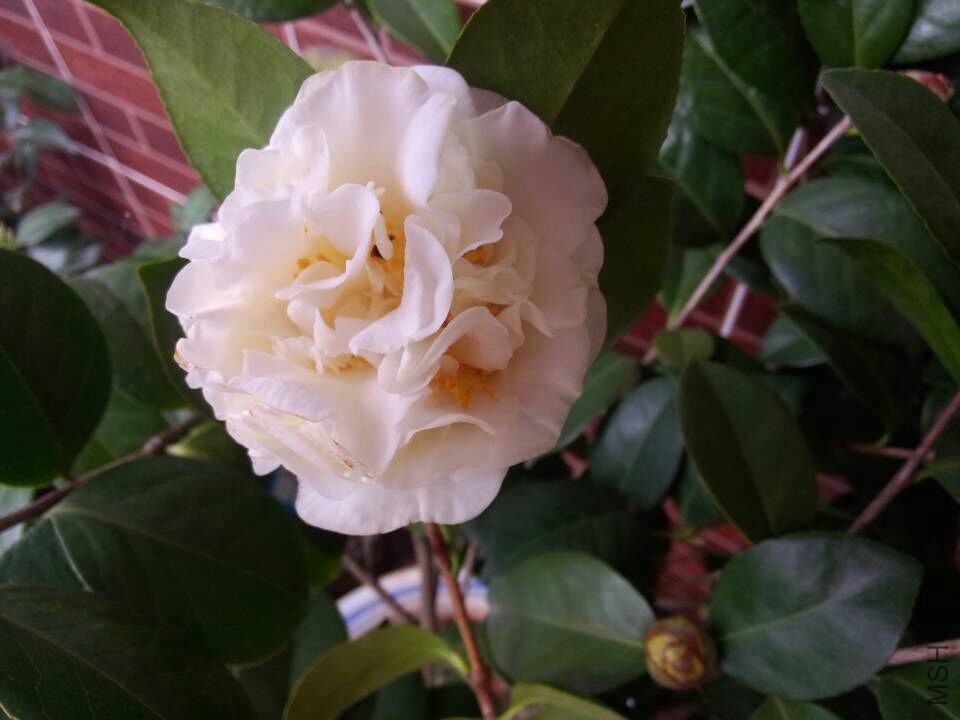 QQͼƬ20150119104859.jpg