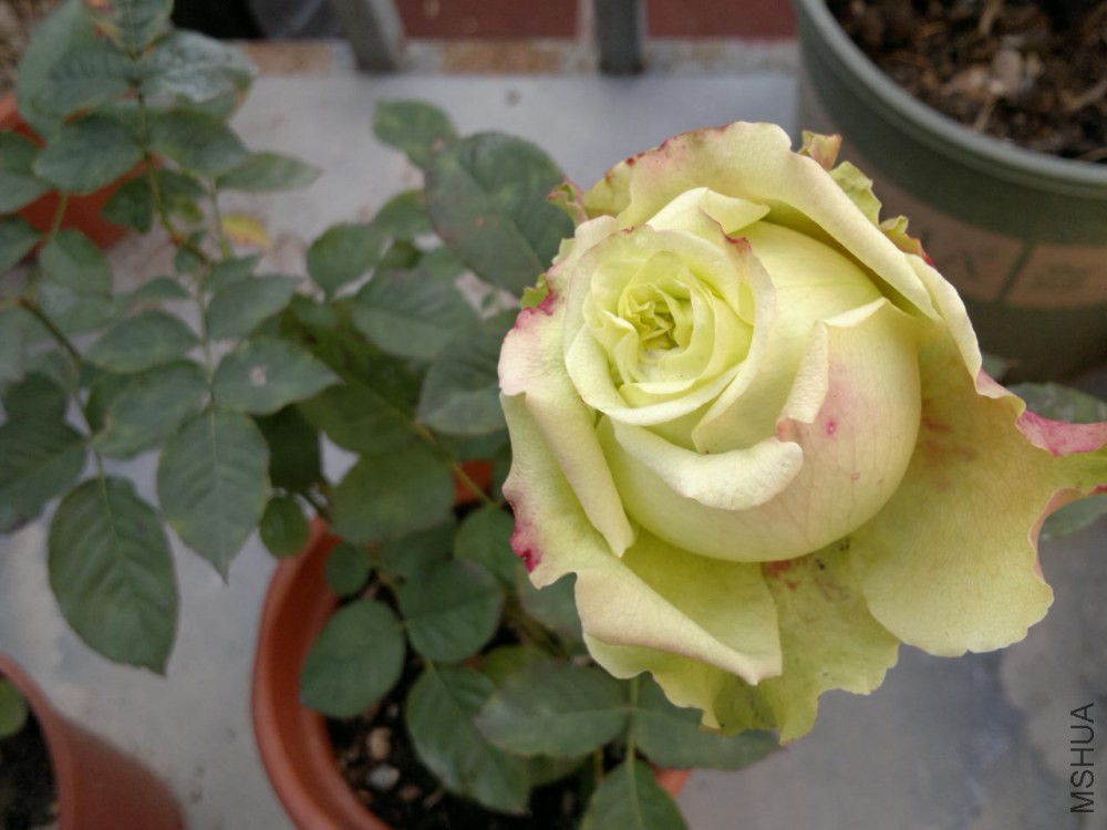 2015-01-19-2483.jpg