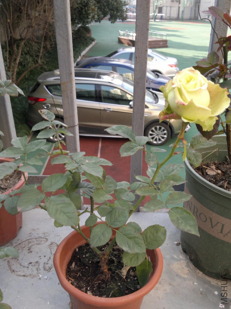 2015-01-19-2484.jpg