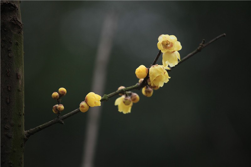 ��÷�뺣�� (12).JPG