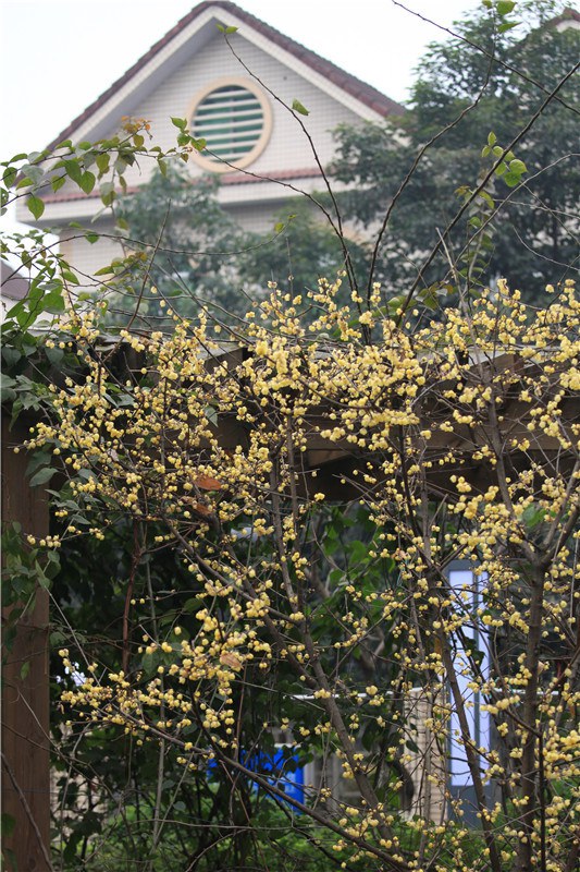 ��÷�뺣�� (13).JPG