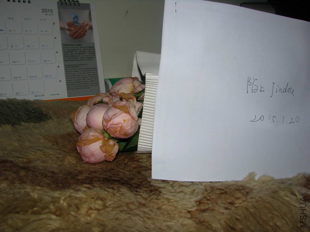 IMG_0001.JPG