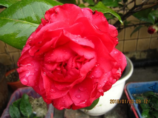 IMG_5462_�༭.jpg