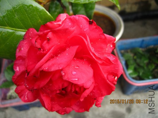 IMG_5463_�༭.jpg