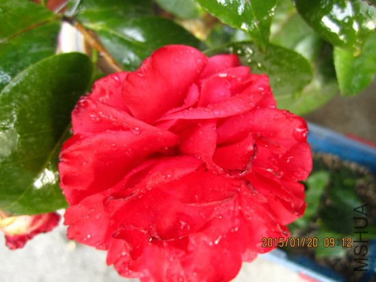 IMG_5465_�༭.jpg