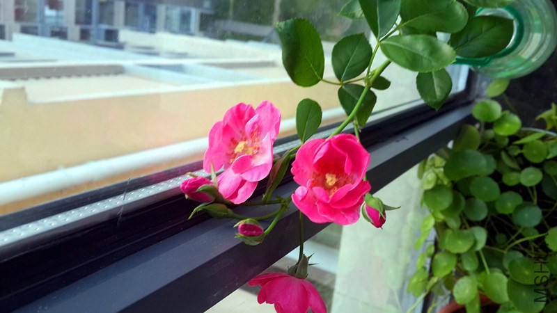 20141020_070802.jpg