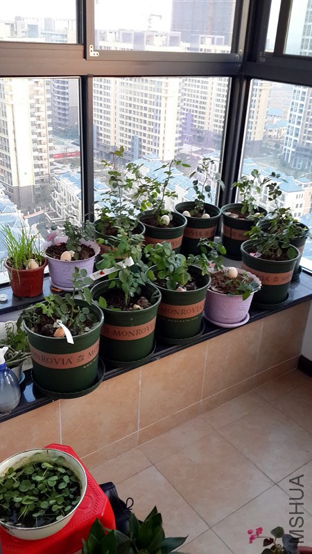 20141213_172009.jpg