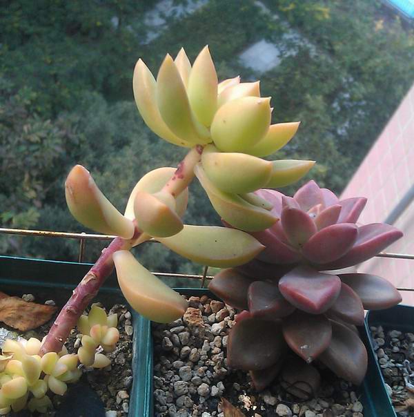 IMAG3095.jpg