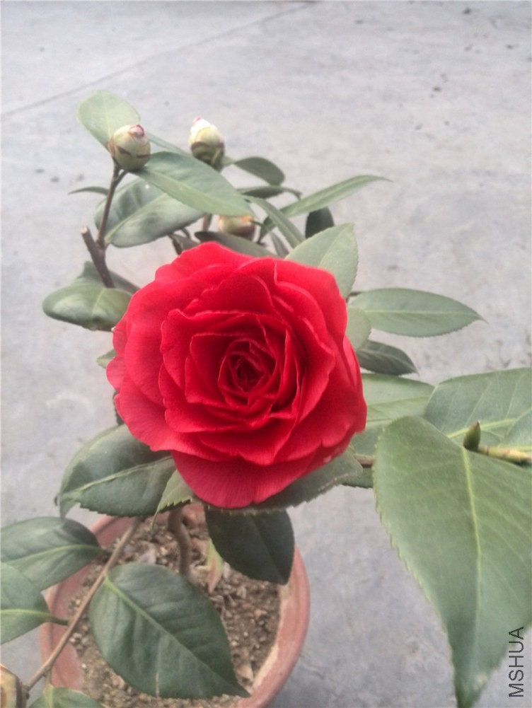 2
