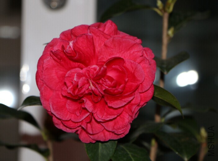 QQͼƬ20150120215330.jpg