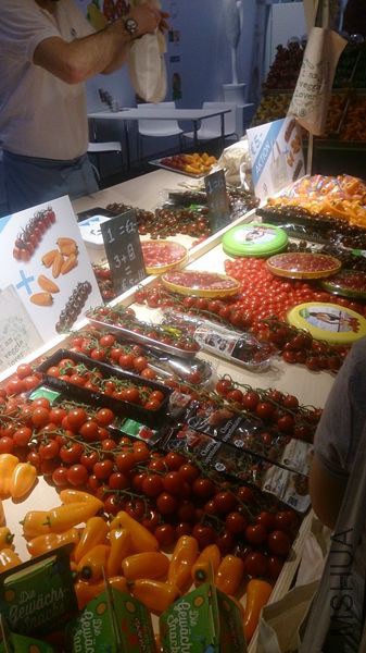 DSC_0876.JPG