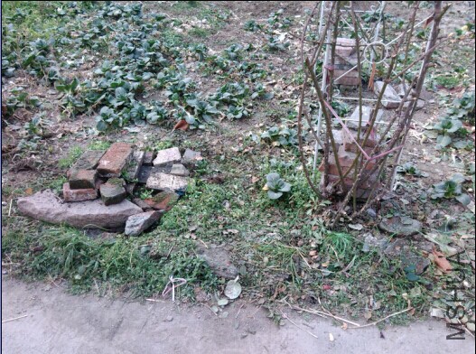 05.jpg