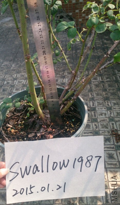 QQ��ͼ20150121125212.jpg