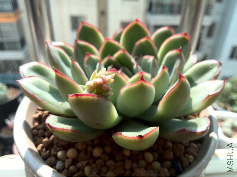 QQͼƬ20150121163159.jpg