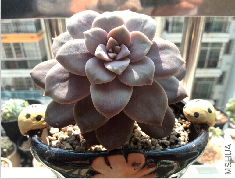 QQͼƬ20150121163316.jpg