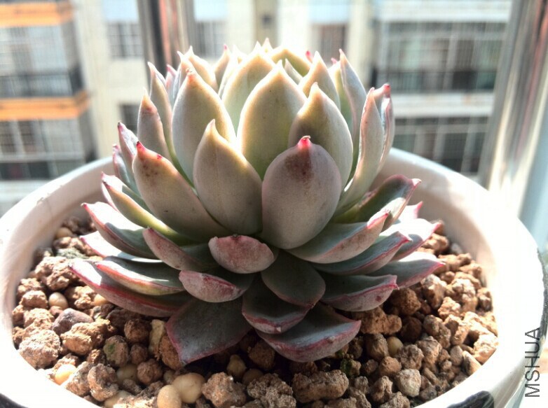 QQͼƬ20150121163336.jpg