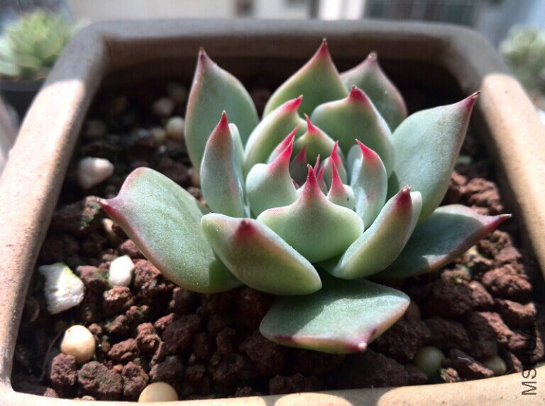 QQͼƬ20150121163354.jpg