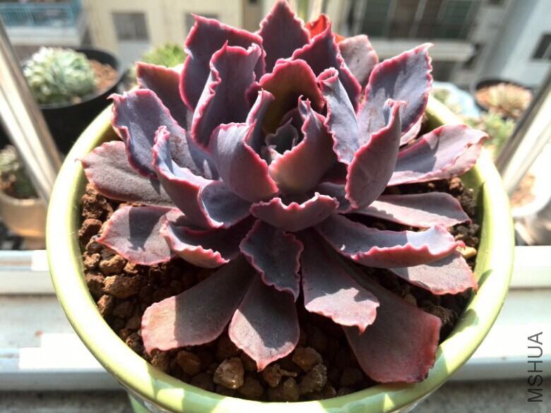 QQͼƬ20150121163449.jpg