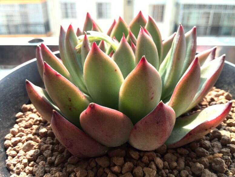 QQͼƬ20150121163505.jpg
