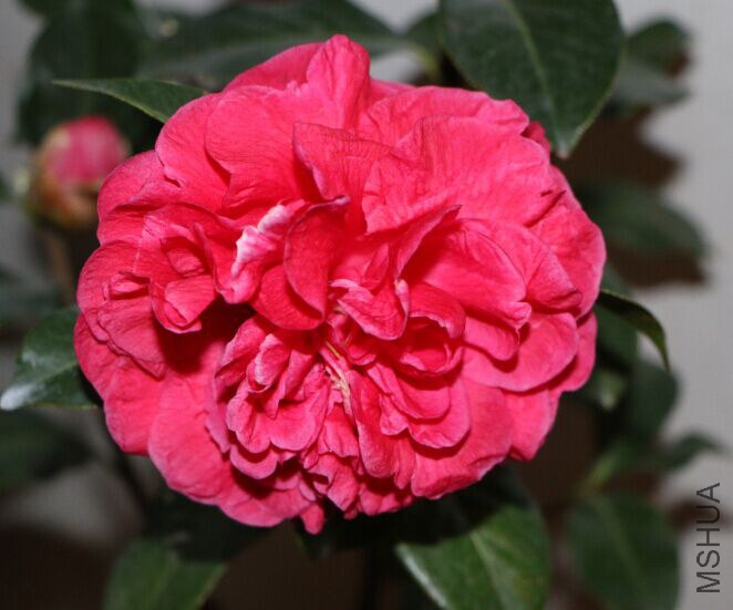 QQͼƬ20150121192330.jpg