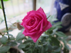 ���߷���