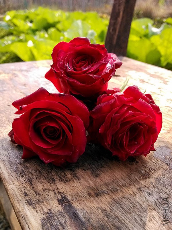 IMG_20150122_160415.jpg