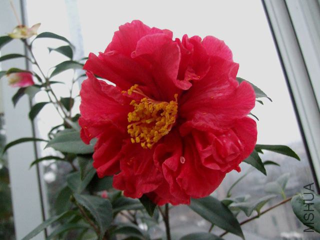 DSCF8167_����.jpg