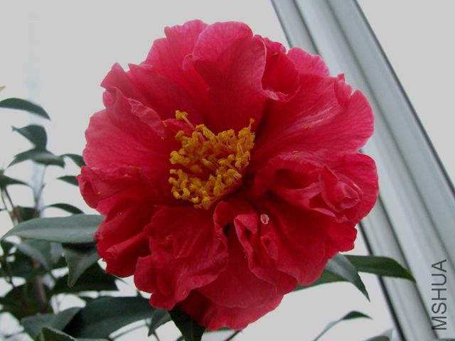 DSCF8181_����.jpg