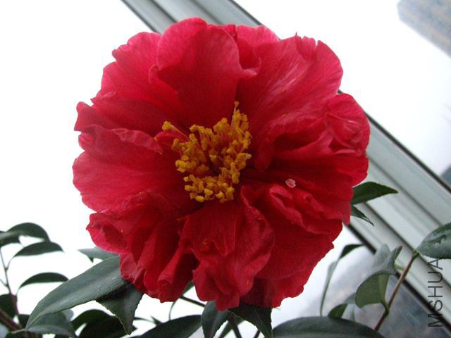 DSCF8182_����.jpg
