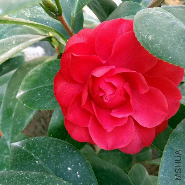 Resize of �൤01.JPG