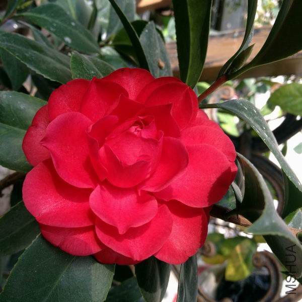 Resize of �൤02.JPG