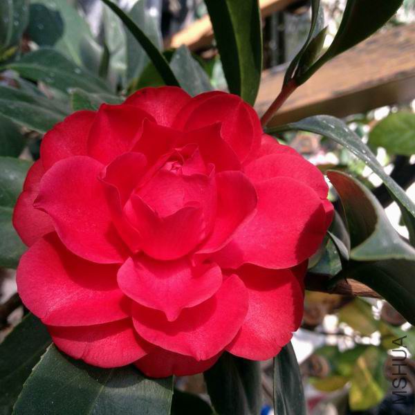 Resize of �൤03.JPG