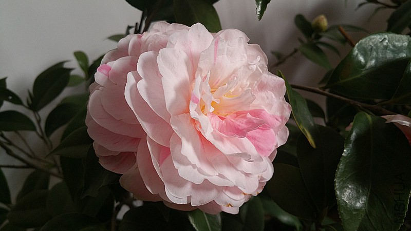 20150123_141349.jpg