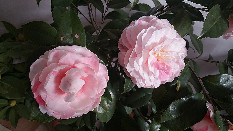 20150123_141417.jpg