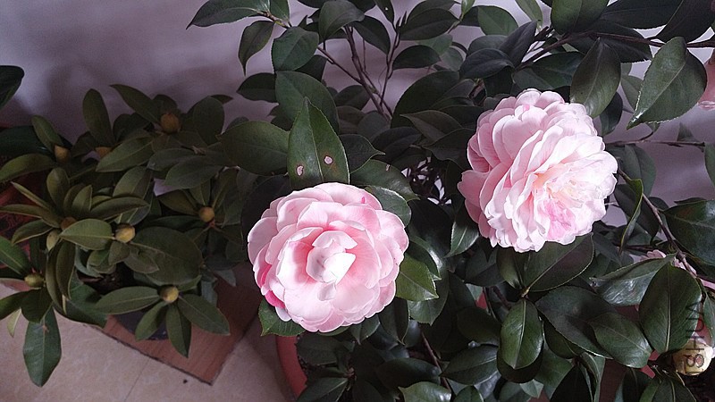 20150123_141510.jpg