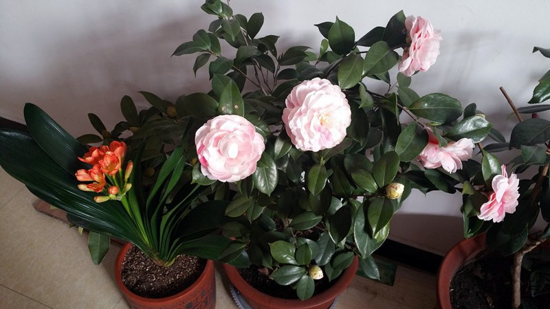 20150123_141849.jpg