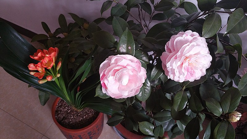 20150123_141929.jpg