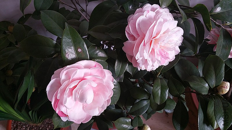 20150123_142011.jpg