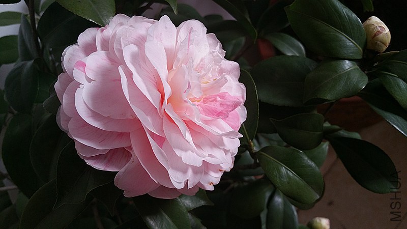 20150123_142022.jpg