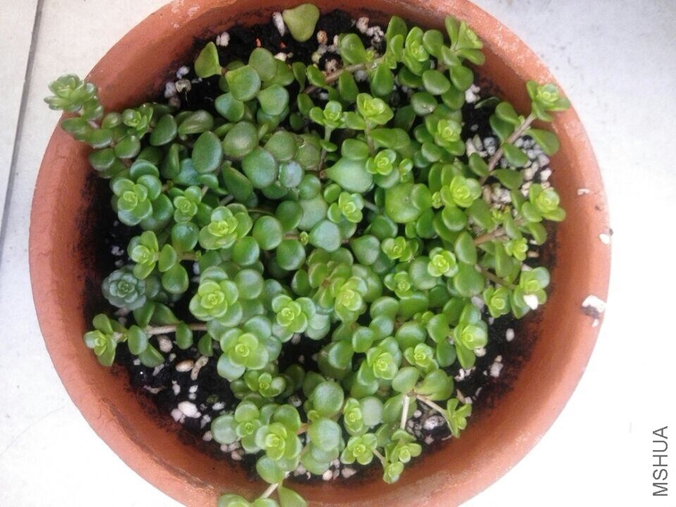 QQͼƬ20150123171634.jpg