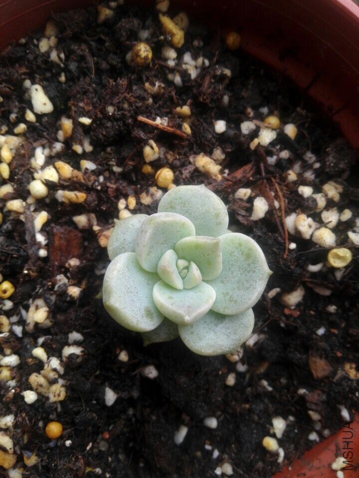 QQͼƬ20150123171709.jpg