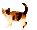 10.gif