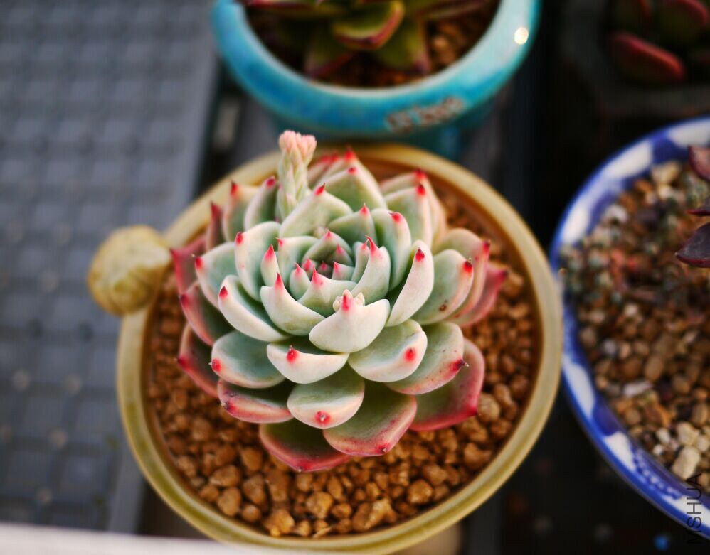 QQͼƬ20150124171408.jpg