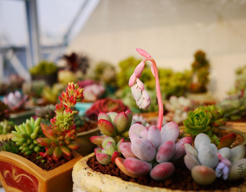 QQͼƬ20150124171257.jpg