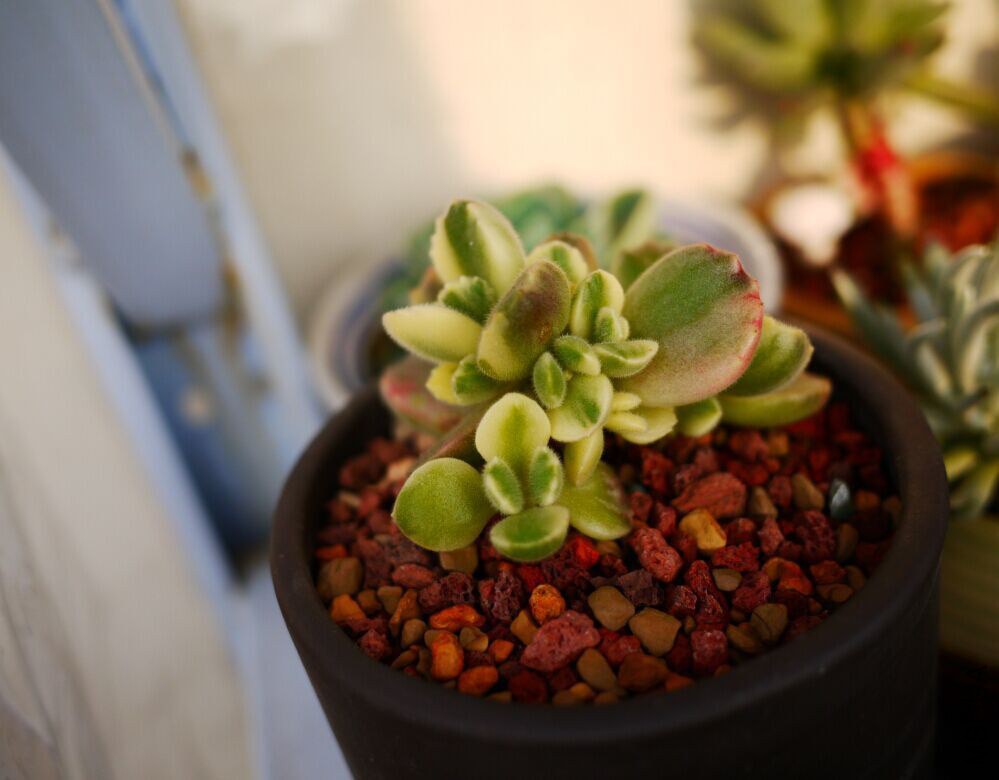 QQͼƬ20150124171236.jpg