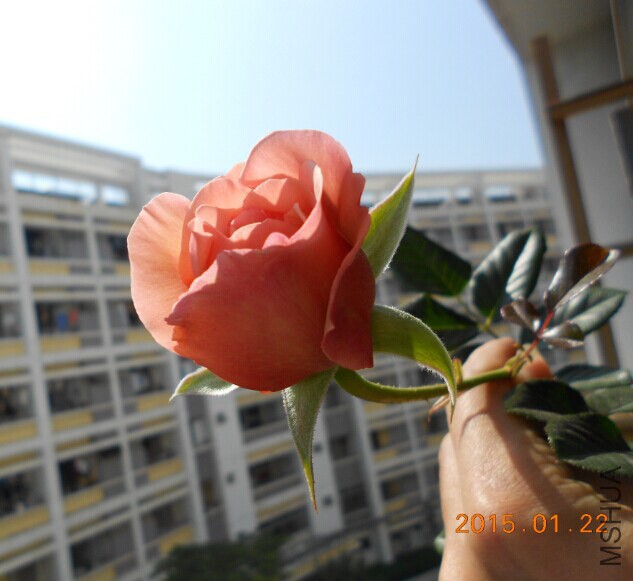QQͼƬ20150124221429.jpg
