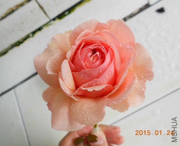 QQͼƬ20150124221452.jpg