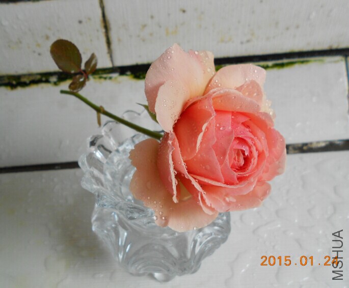 QQͼƬ20150124221502.jpg