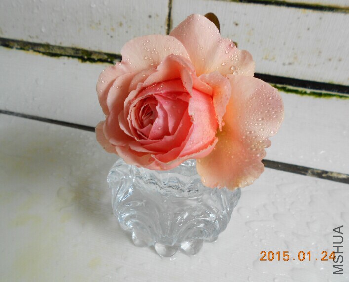 QQͼƬ20150124221520.jpg
